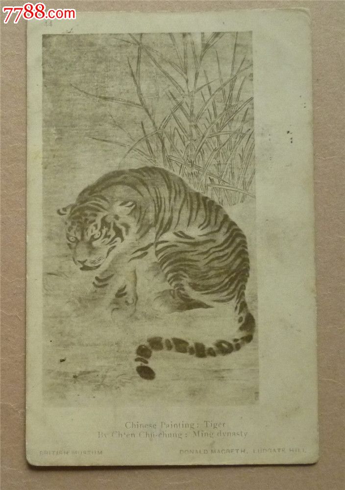 老明信片——明朝陈姓画家画的老虎
