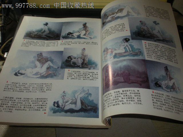 仙山彭祖长寿术