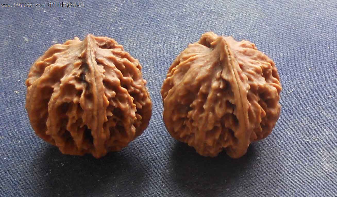 秦岭-野核桃(一对)