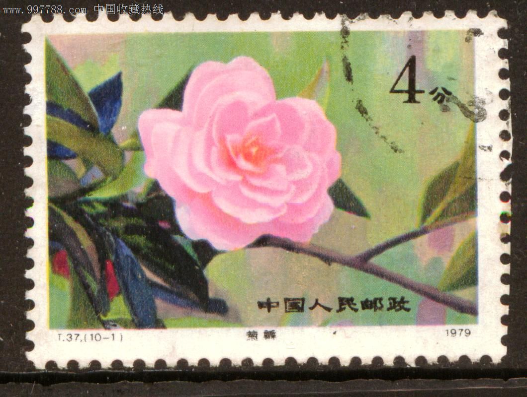 t37云南山茶花10—1信销邮票上品
