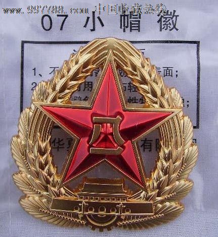陆军07式帽徽图片