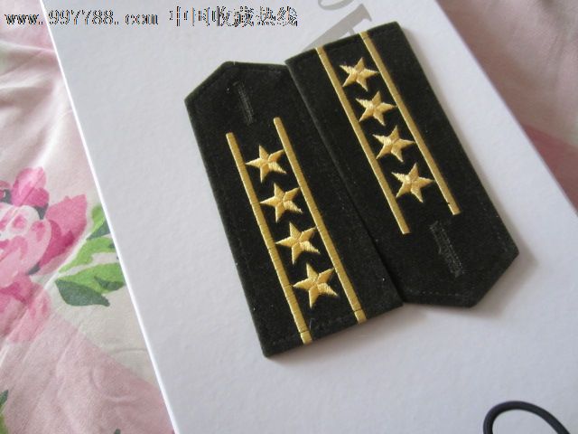 肩章87--软4号,陆*大校