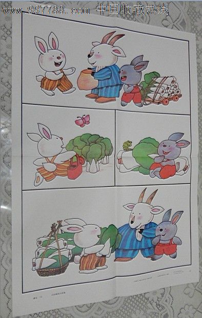 兔小白和兔小灰的故事图片