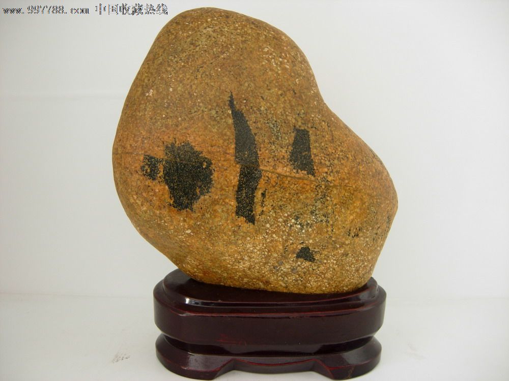 玄武湖的米芾拜石图片