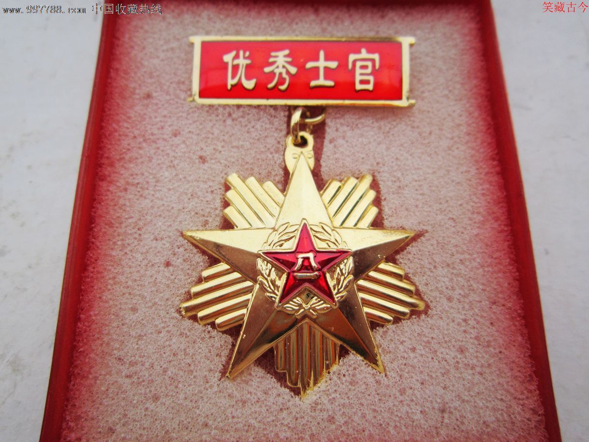 武警部队优秀士官奖章图片