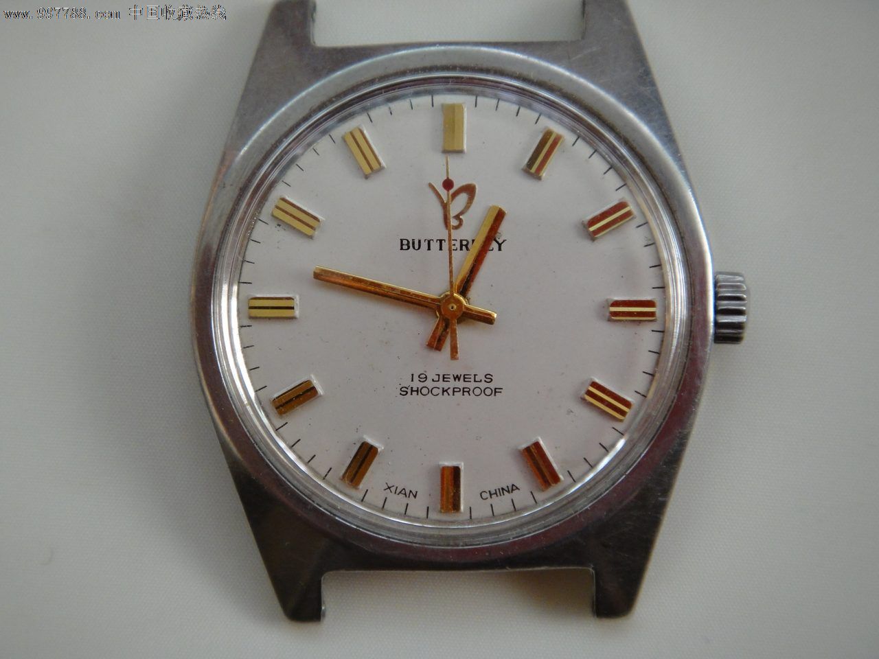 中国19钻butterfly蝴蝶表