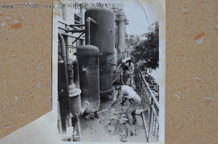 老照片-重庆北碚制药王厂