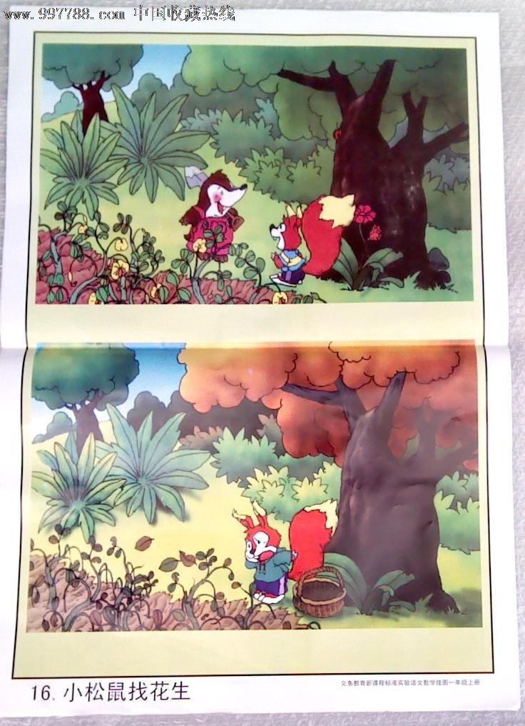 小松鼠找花生