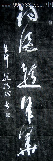 中国书画碑帖,赵绪成《诗酒趁年华》,152x50cm,bt237