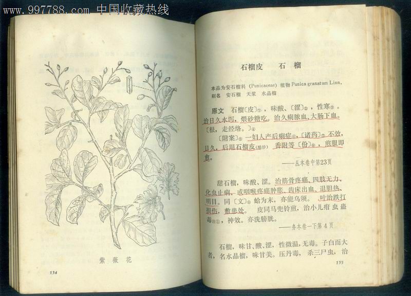 滇南本草(全三册)