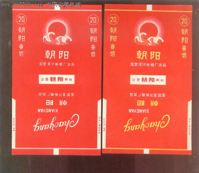 朝阳一对不同