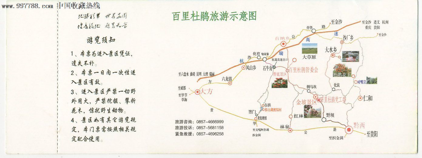 贵州百里杜鹃旅游路线图片