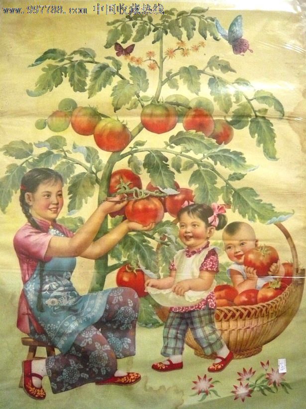 采番茄(大跃进)