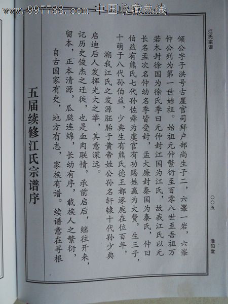 宗谱族谱江氏宗谱(江禹庙)卷15精装四册全