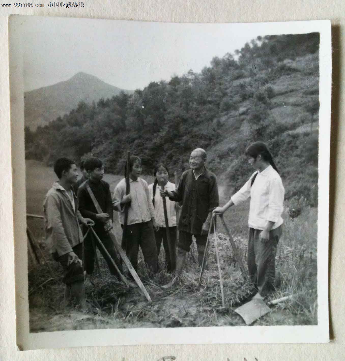 黑白,,尺寸不详,无齿边,无标志,专题销售,无底片, 简介:1,老红军孙