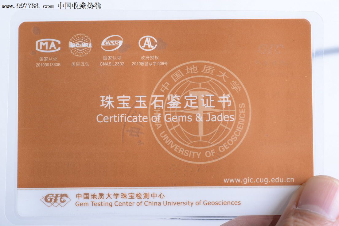 深海牛血红原型红珊瑚挂件/项链/吊坠带珠宝鉴定证书