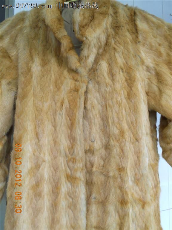 黄狼皮裘皮衣!