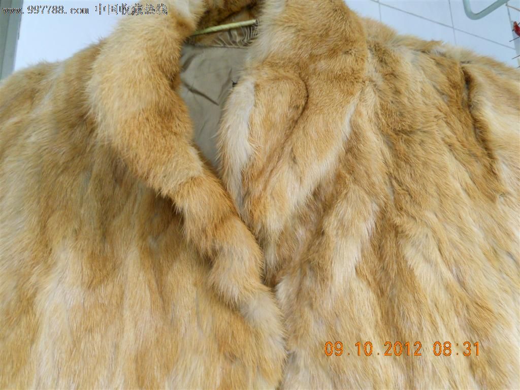 黄狼皮裘皮衣!