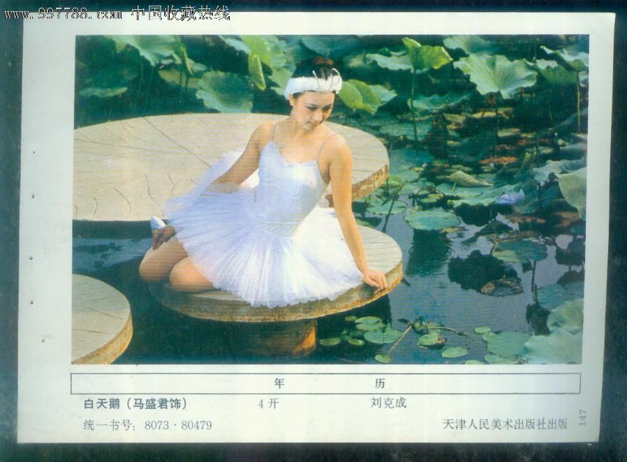 白天鹅(马盛君饰)