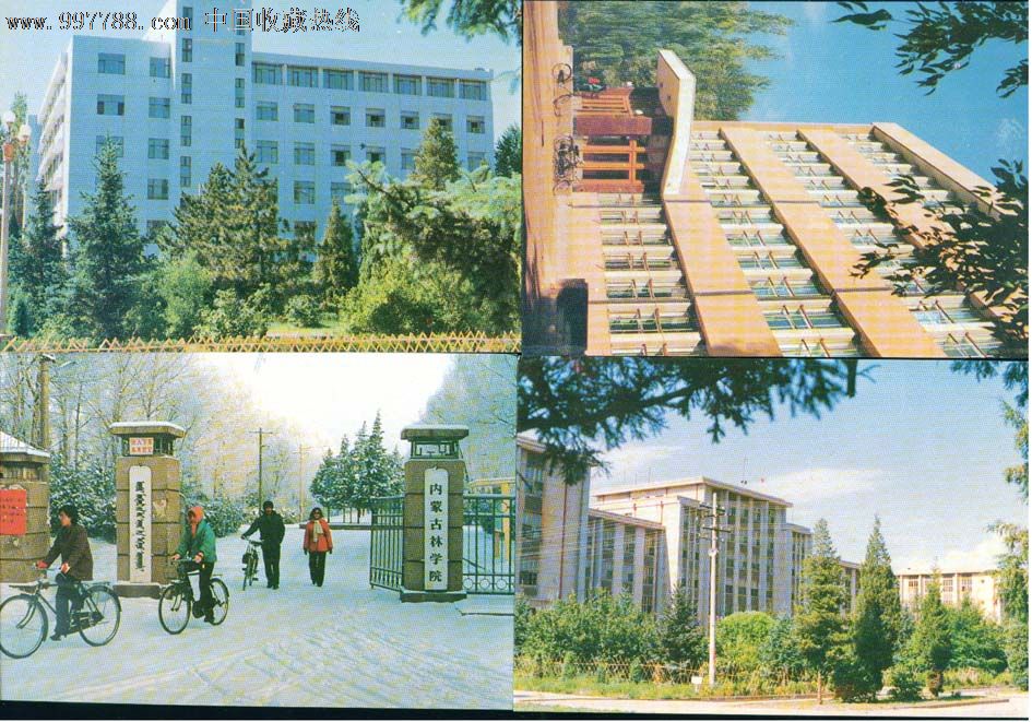 内蒙古林学院(全套10张)