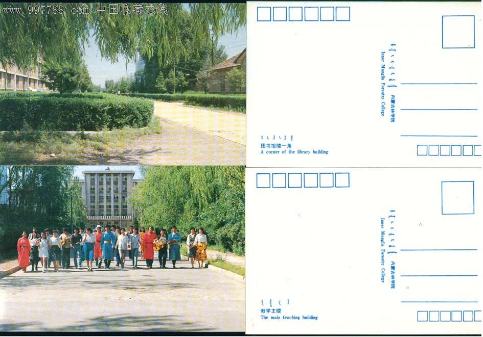 内蒙古林学院(全套10张)