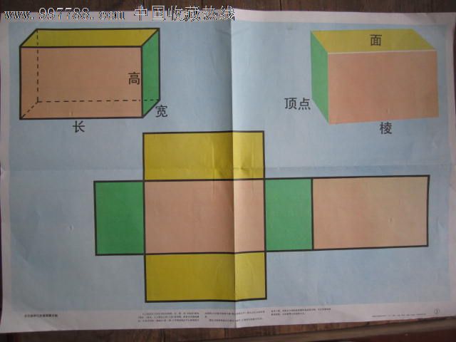 34正方体和它的表面展开图长方形正方体表面展开图的判断