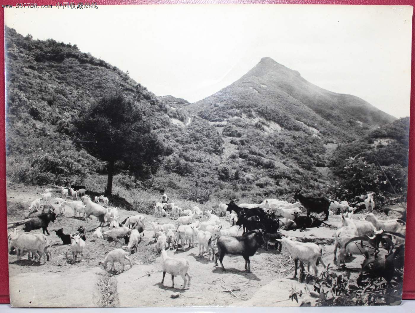 南岳衡山老照片图片