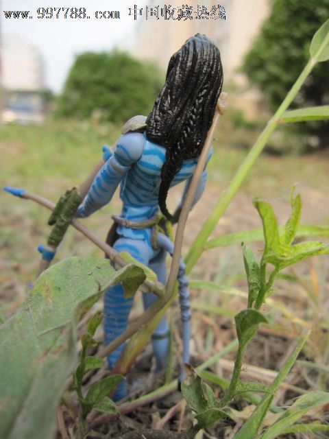阿凡达/avatar纳威族妮特丽neytiri女主角人偶盒装玩偶公仔-其他玩偶/