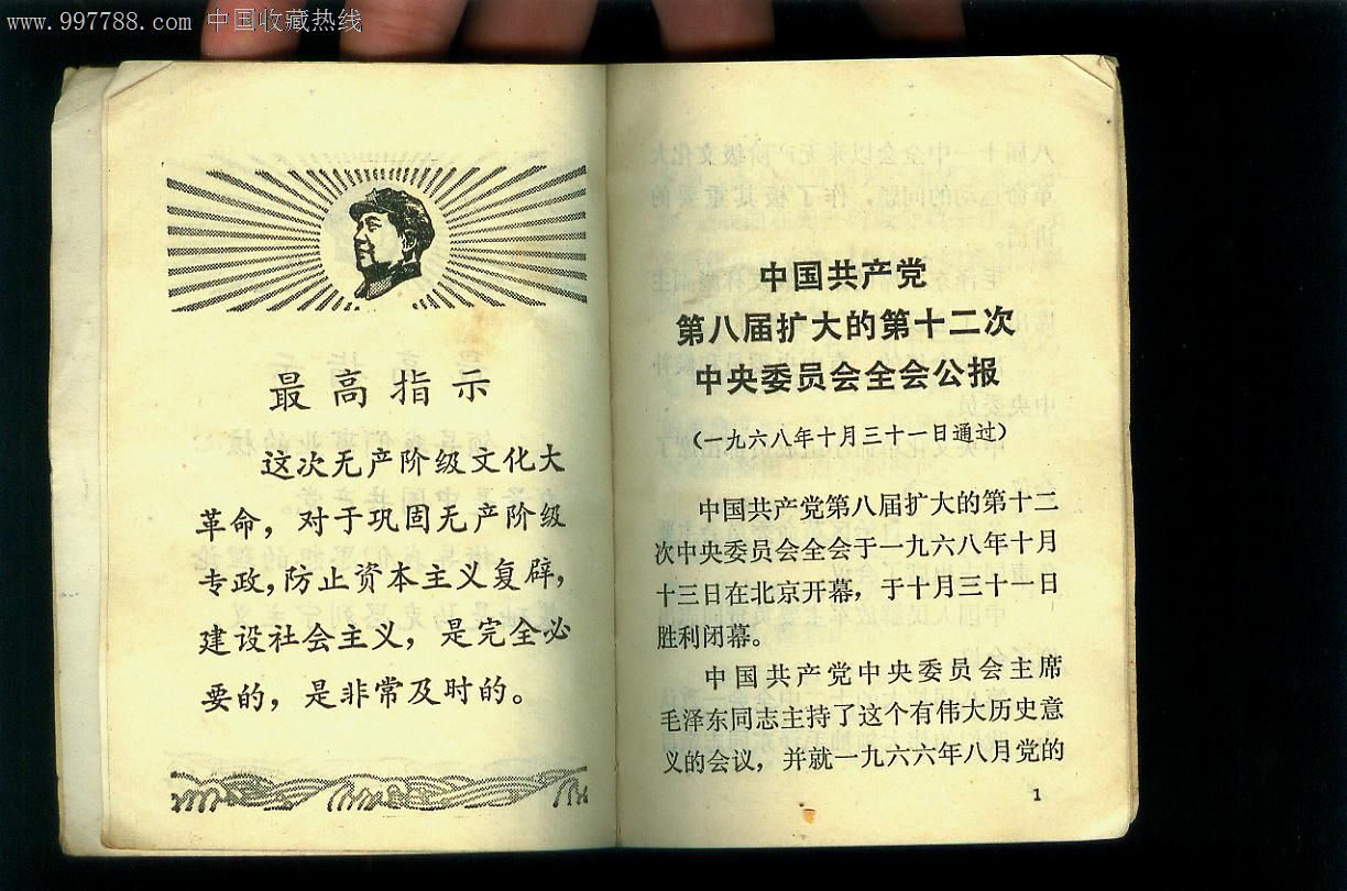 红宝书带毛林图像