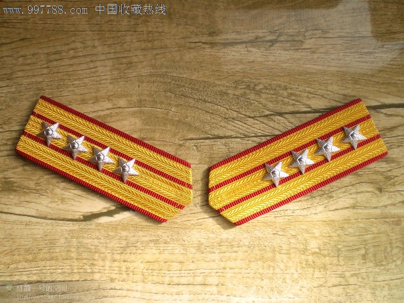 87陆*大校肩章