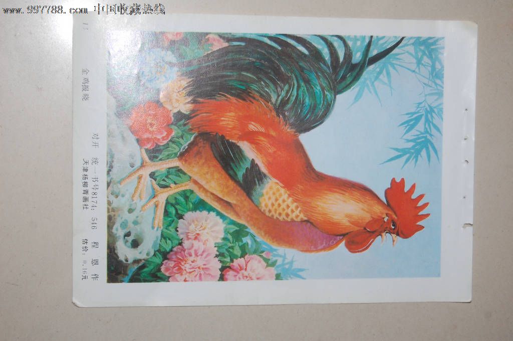 金鸡报晓