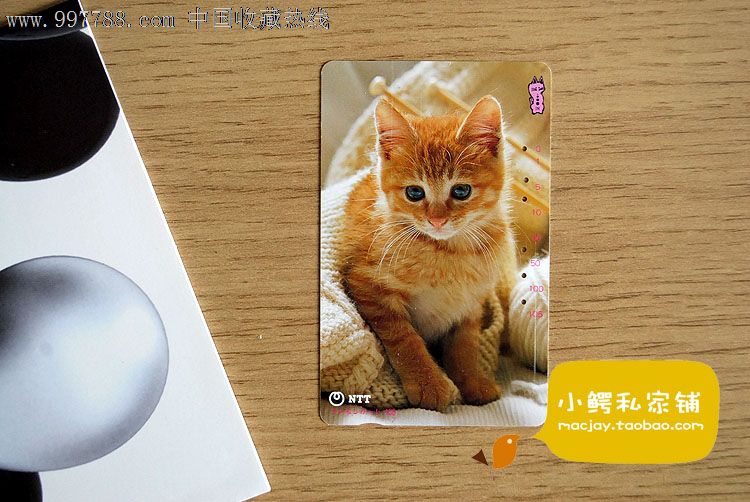 [日本田村卡]电话磁卡收藏卡宠物猫