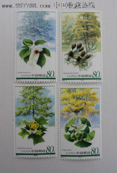 2006-5植物邮票