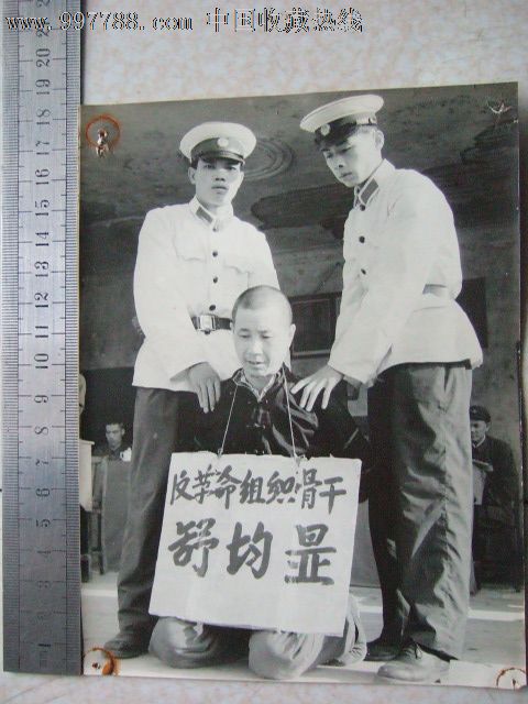 反革命组织骨干
