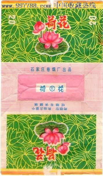 荷花(绿.含焦-石家庄70s