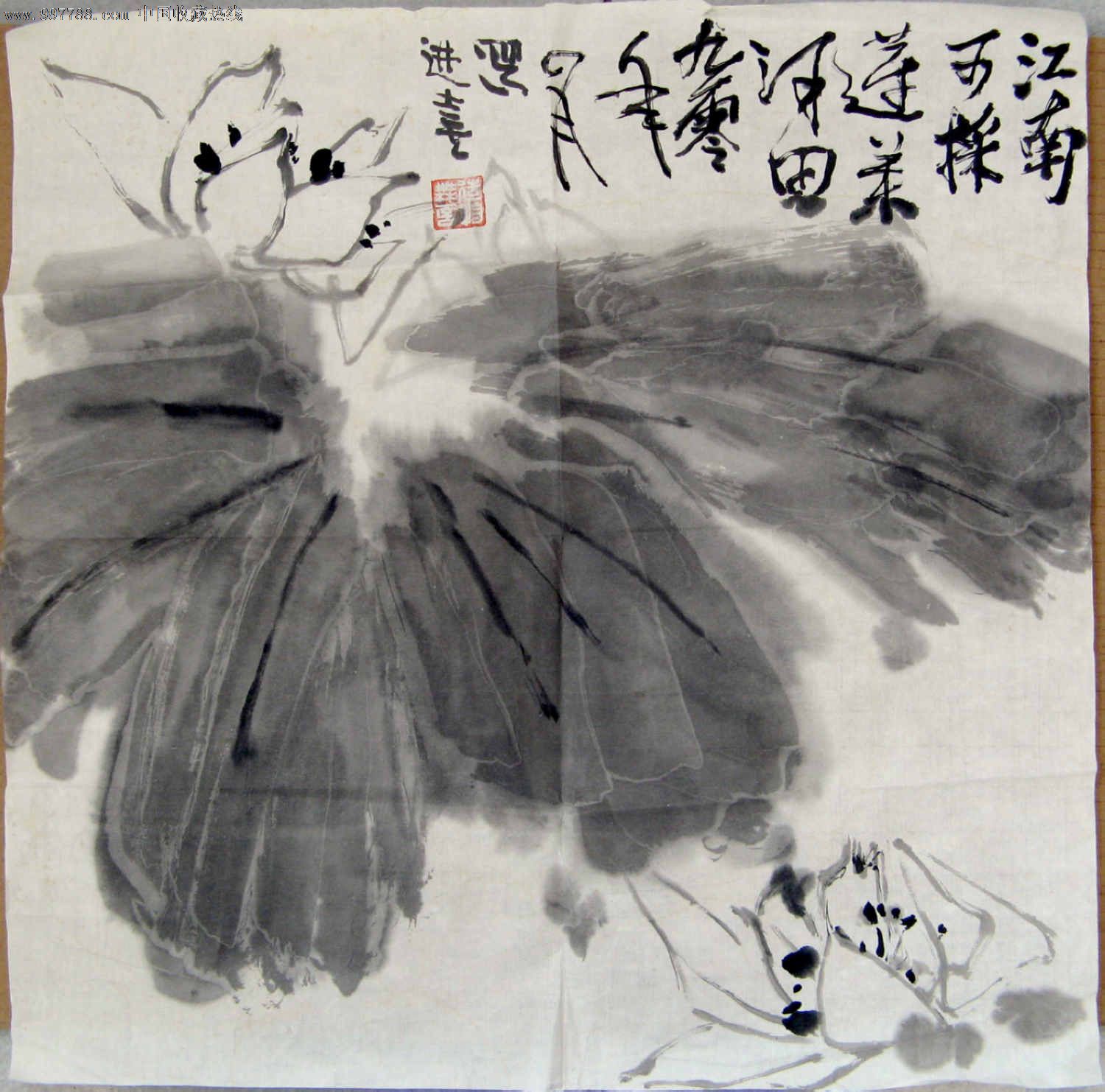 不错的三尺斗方荷花画《江南可采莲.》