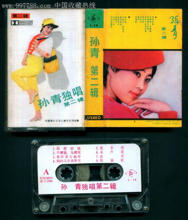 孙青独唱【第二辑】