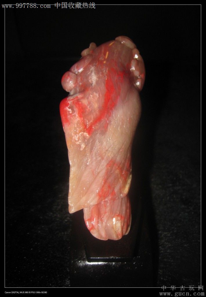 【巴林石馆】巴林鸡血石摆件之【血色鹦鹉】