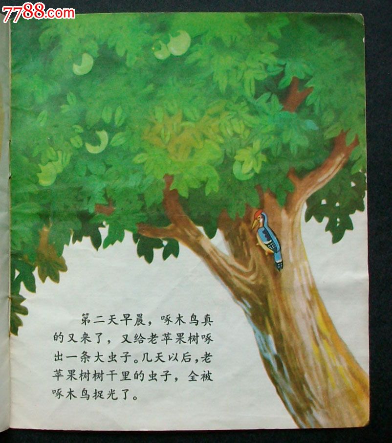 小苹果树请医生