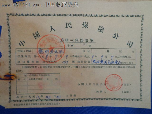 中国人民保险公司养猪自愿保险单