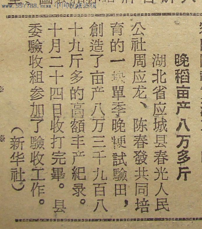 《延边日报》【(湖北省应城县春光人民公社)晚稻亩产八万多斤】