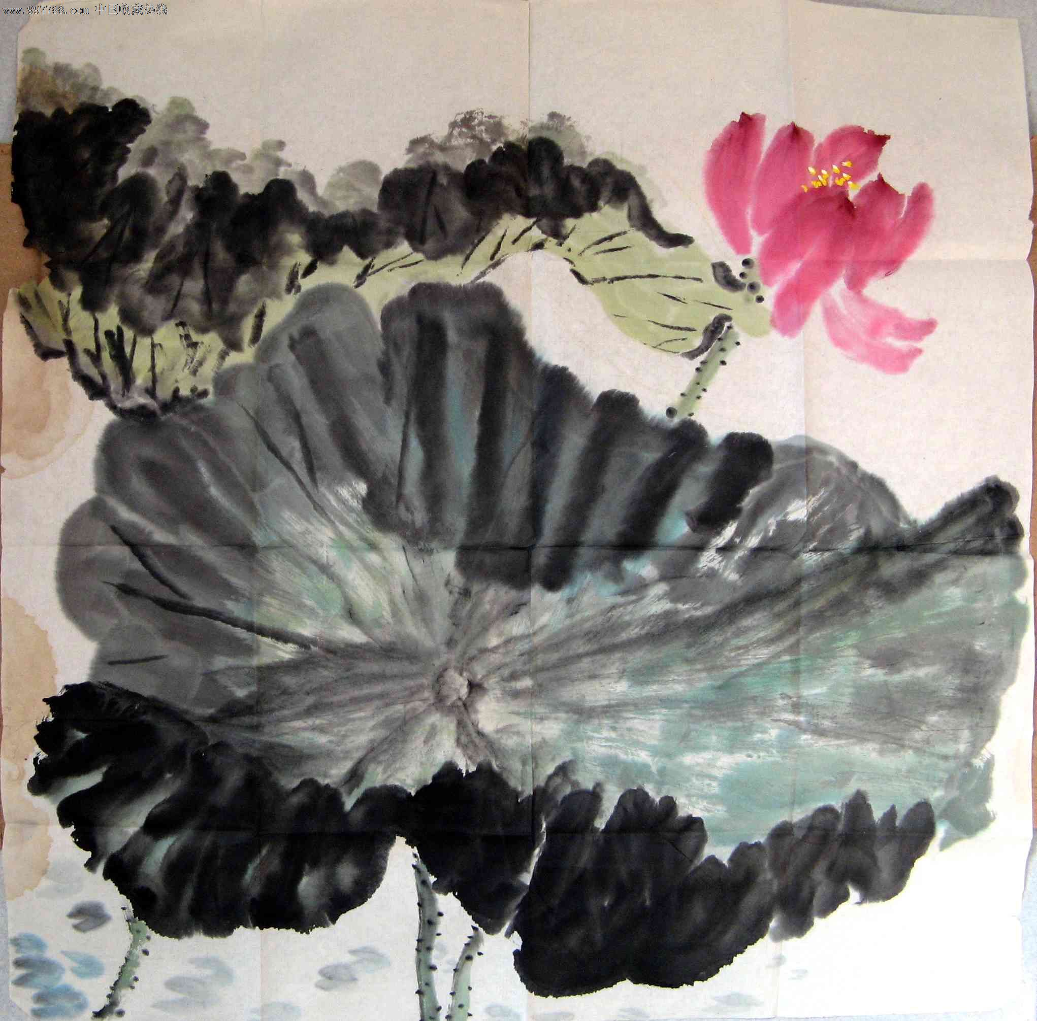 墨浓色艳的四尺斗方无款荷花画