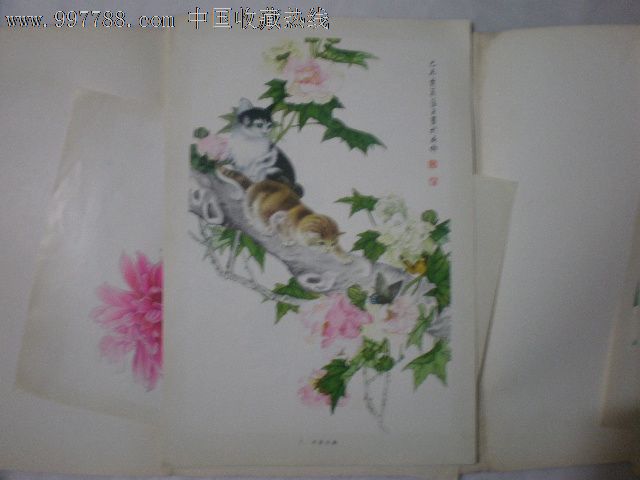 双猫扑蝶-国画画册-se15975530-零售-7788收藏__中国收藏热线