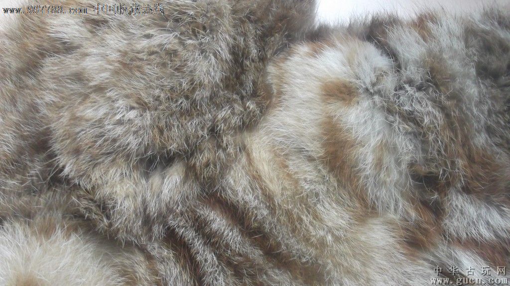 老的野生山猫皮裘皮衣服,中间烂了个大洞,只能拿来欣赏,不能穿