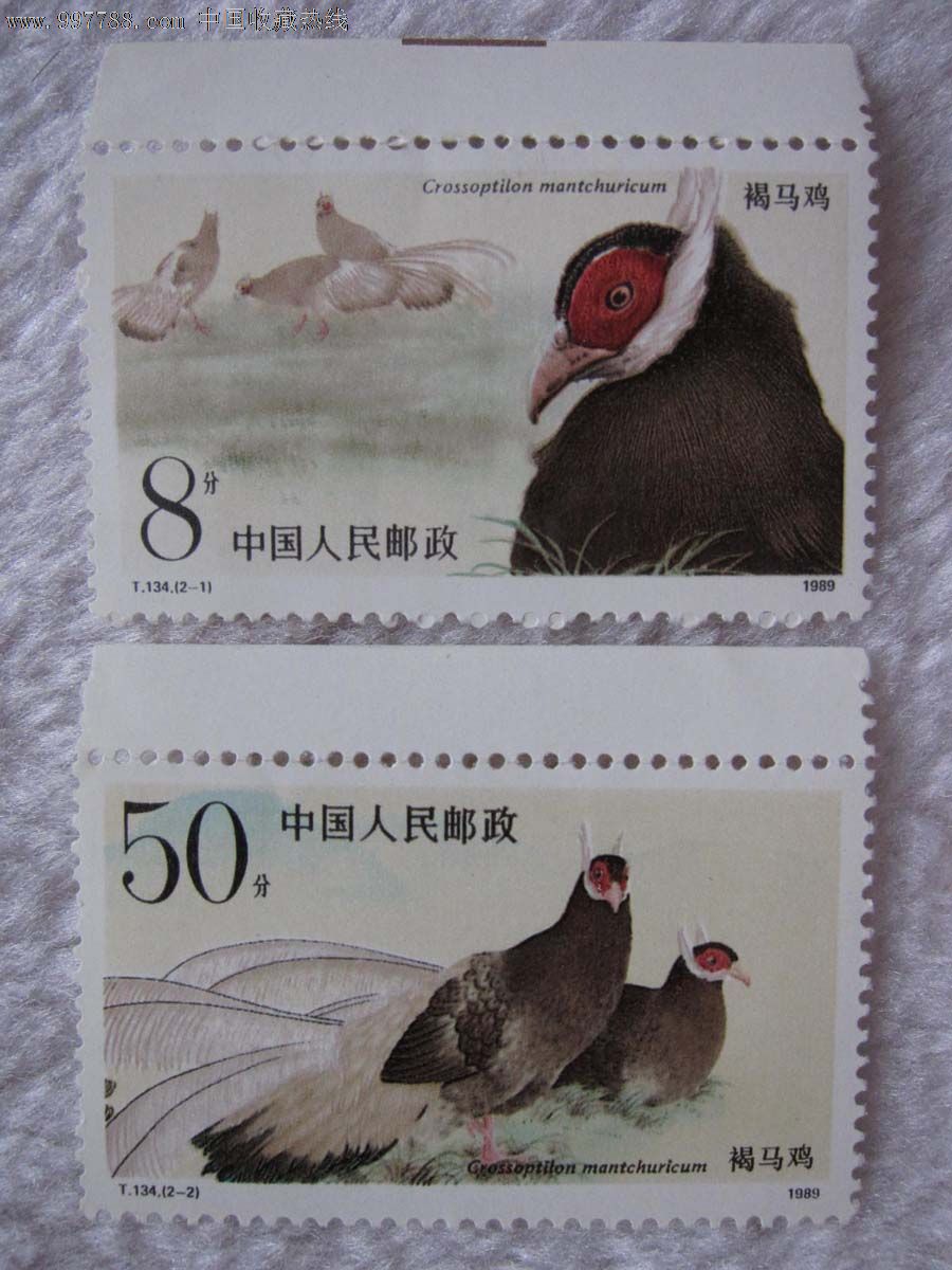 t134褐马鸡,带厂铭-新中国邮票--se16100092-零售-7788收藏__中国收藏