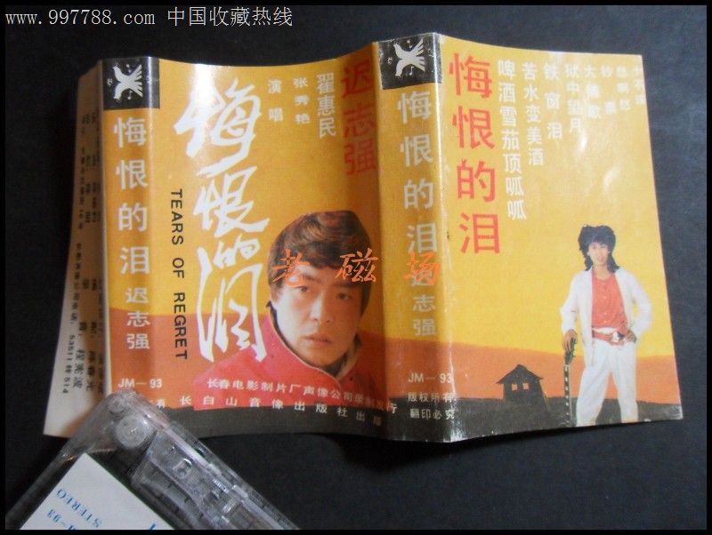 迟志强-悔恨的泪