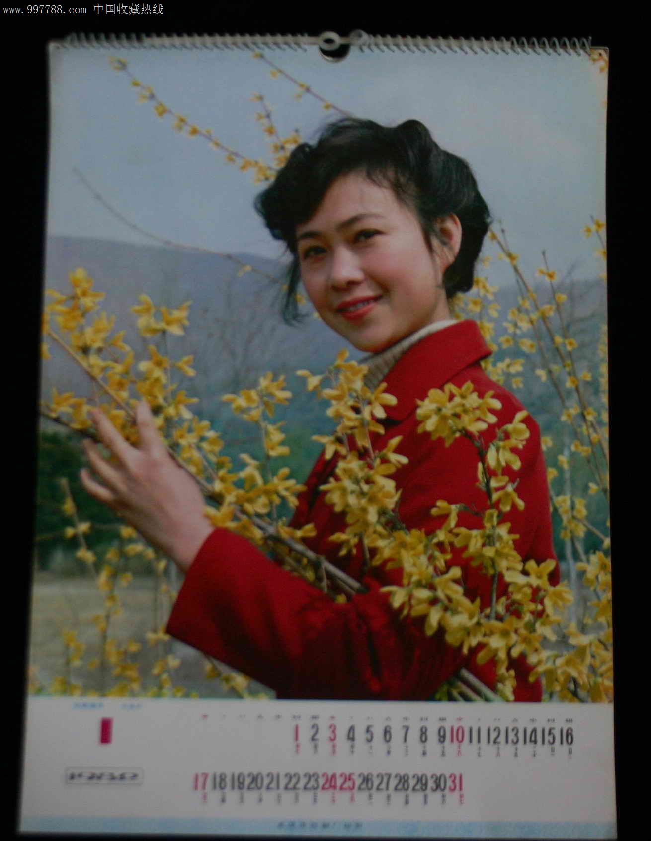 1982年电影明星挂历