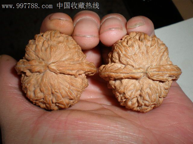 42矮桩白狮子头/-文玩核桃-7788文玩