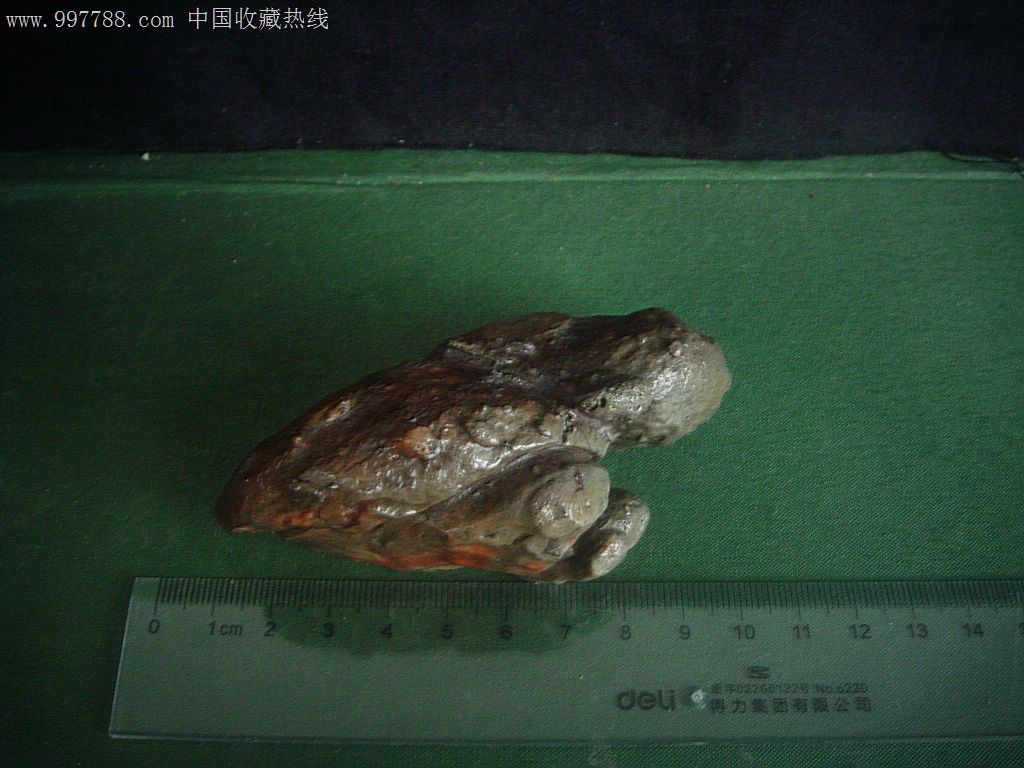 观赏石,戈壁奇石,动物像形石.金蟾送宝.