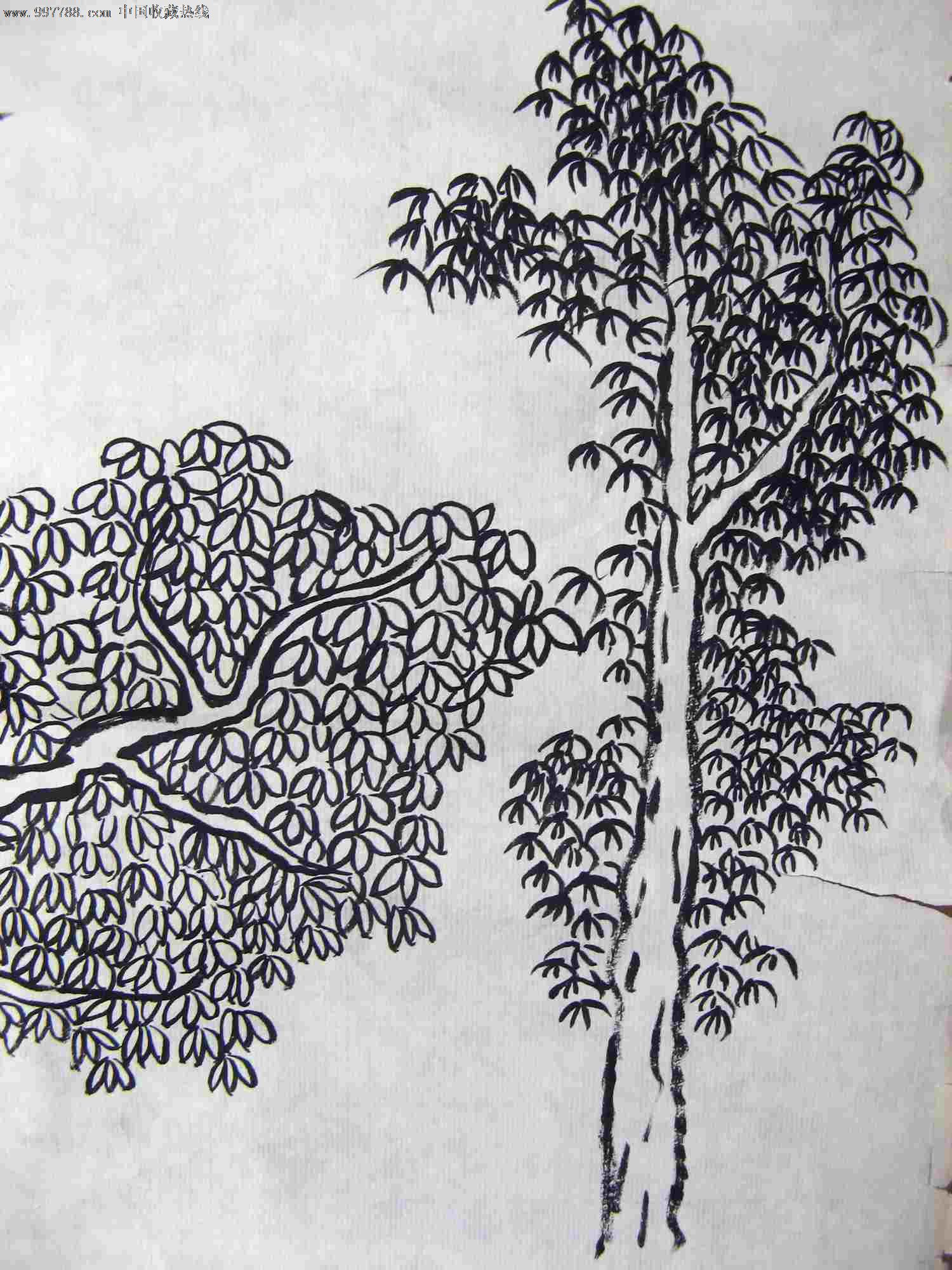 尺半无款林木练*画:树林-价格:4元-se16280306-花鸟国画原作-零售